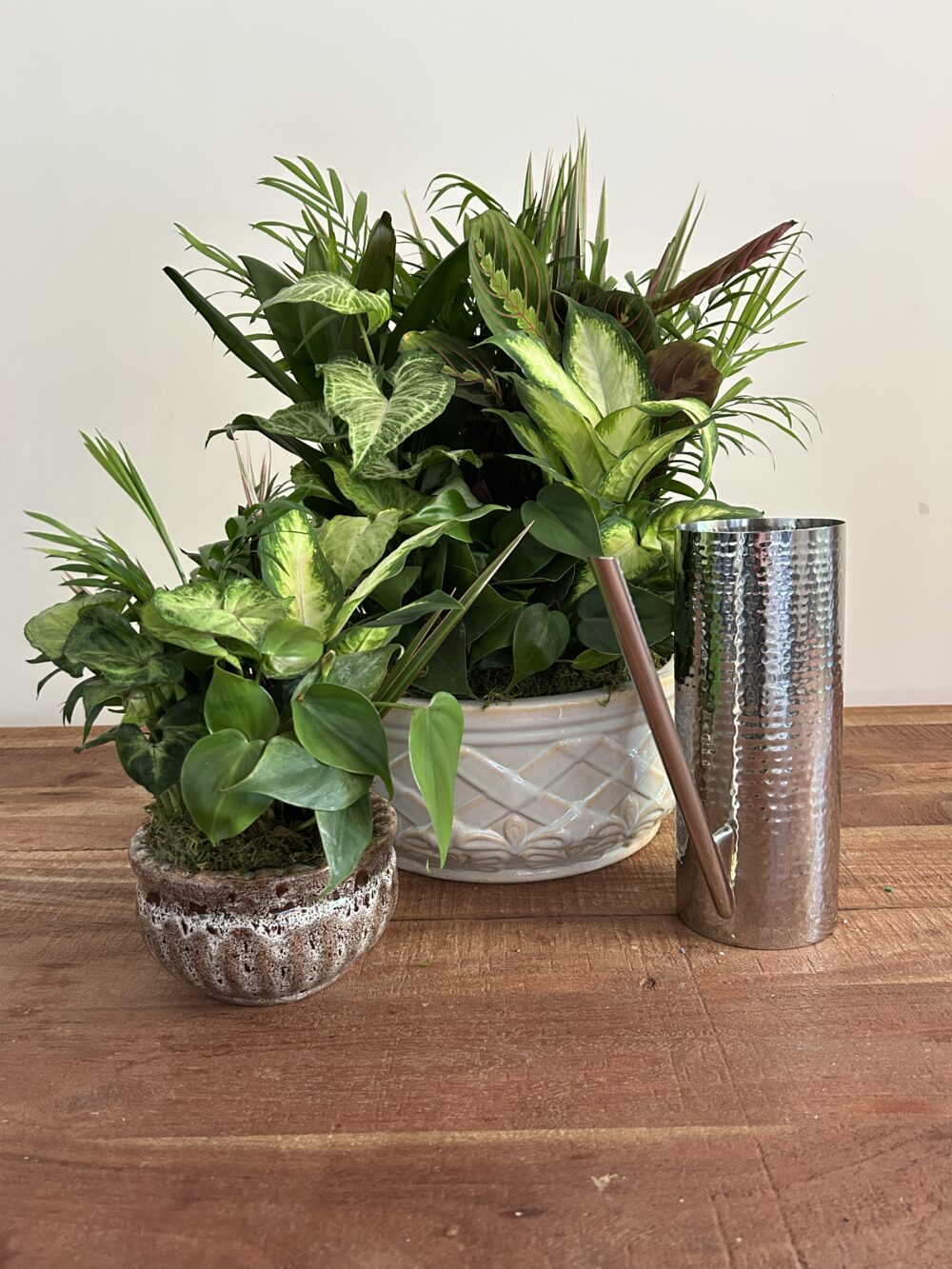 The Plant Lovers Pack Father's Day by Bedford Village Flower Shoppe