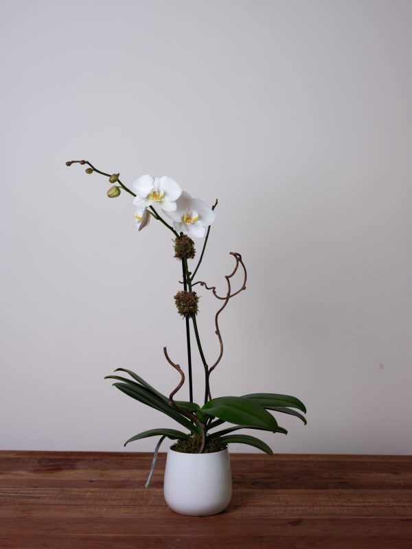 Bedford Village Flower Shoppe