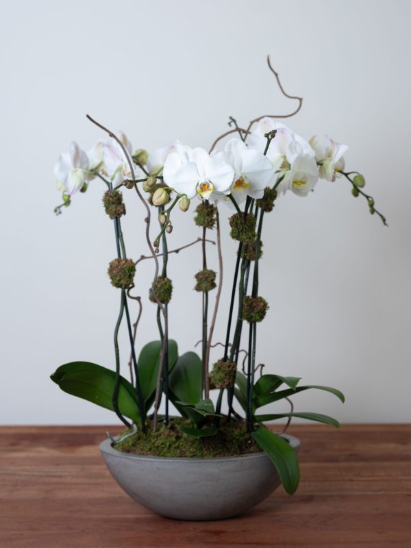 Bedford Village Flower Shoppe