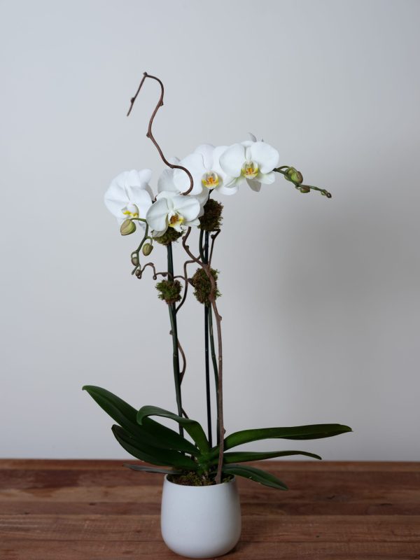 Bedford Village Flower Shoppe